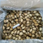 Dried Abalone