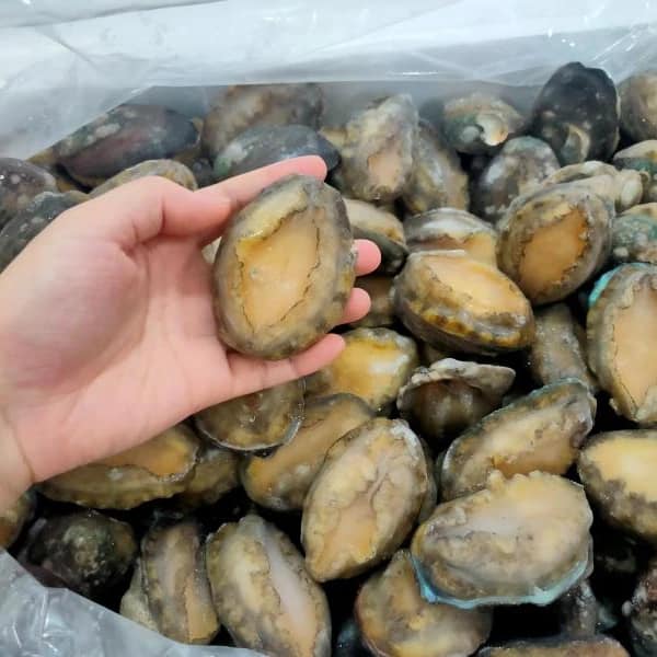 202501061657097a04c Frozen Abalone - Image 1