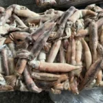 Dried Squid