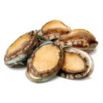 Fresh Abalone