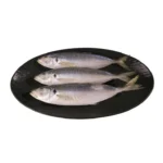 Fresh Fish