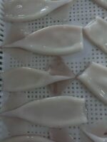 Fresh Squid - Image 4