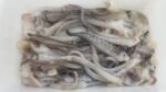 Fresh Squid - Image 2